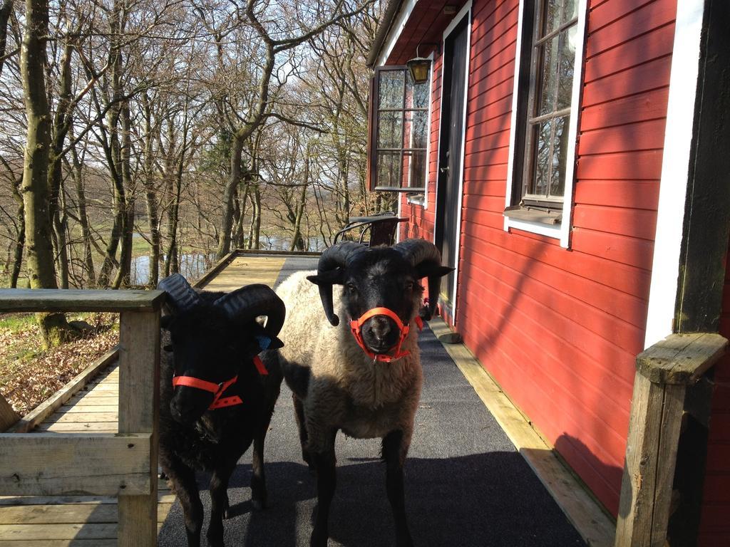 Farm Stay Happy Dogs Ranch Veberod Exterior photo