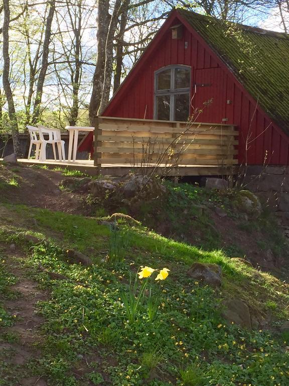 Farm Stay Happy Dogs Ranch Veberod Exterior photo