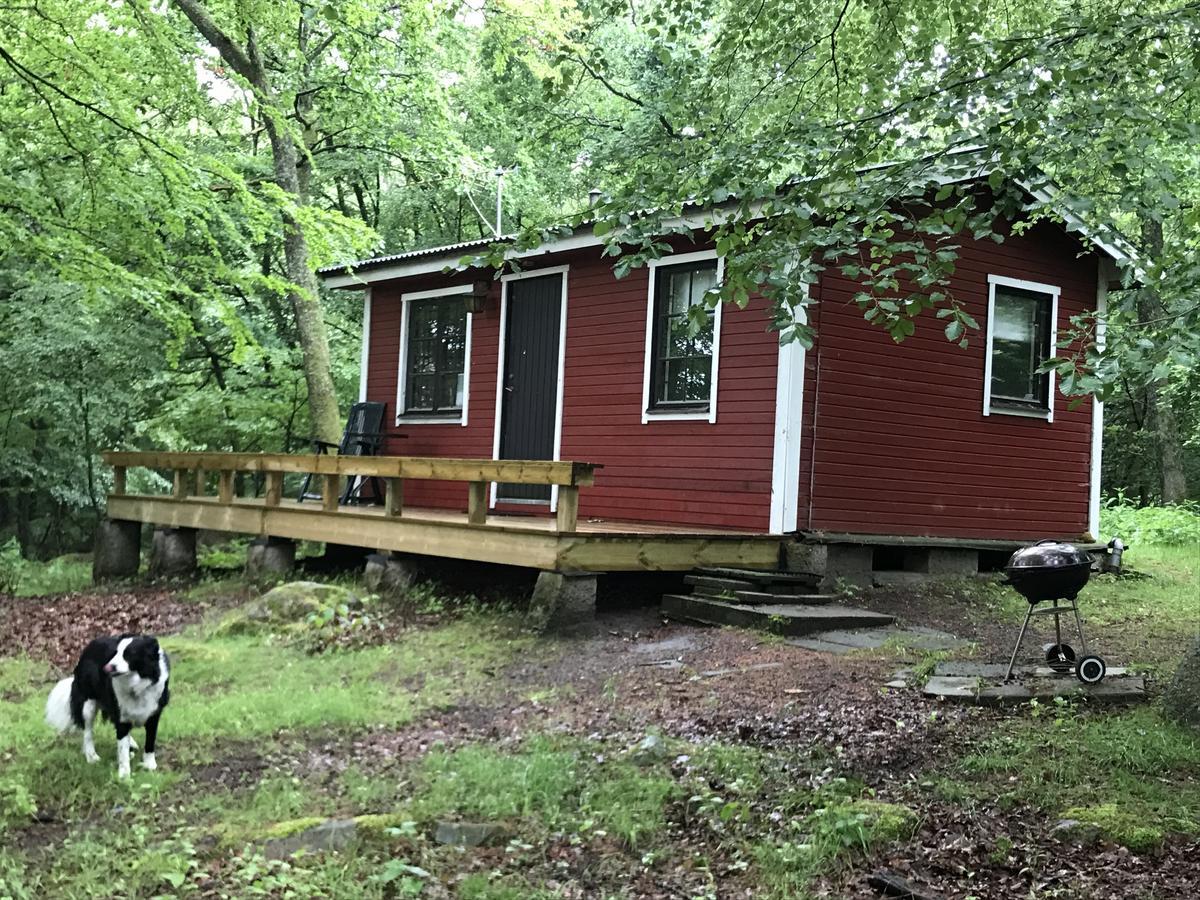 Farm Stay Happy Dogs Ranch Veberod Exterior photo