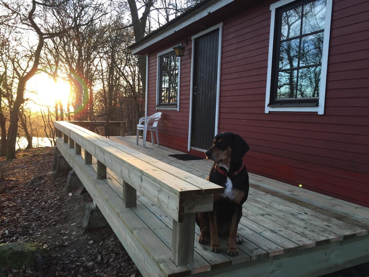 Farm Stay Happy Dogs Ranch Veberod Exterior photo